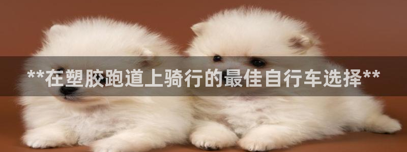 谈球吧app赛事分析报告：**在塑胶跑道上骑行的最佳