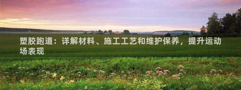 谈球吧app靠谱吗：塑胶跑道：详解材料、施工工艺和维护保养，提升运动
场表现