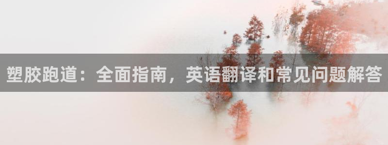 谈球吧算违法行为吗：塑胶跑道：全面指南，英语翻译和常