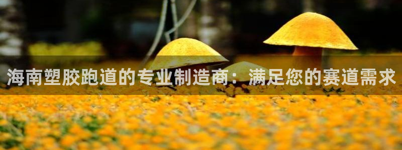 谈球吧是黑台子吗还是白台子好：海南塑胶跑道的专业制造商：满足您的赛道需求