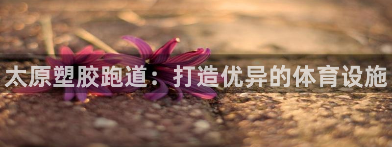 谈球吧不出款：太原塑胶跑道：打造优异的体育设施