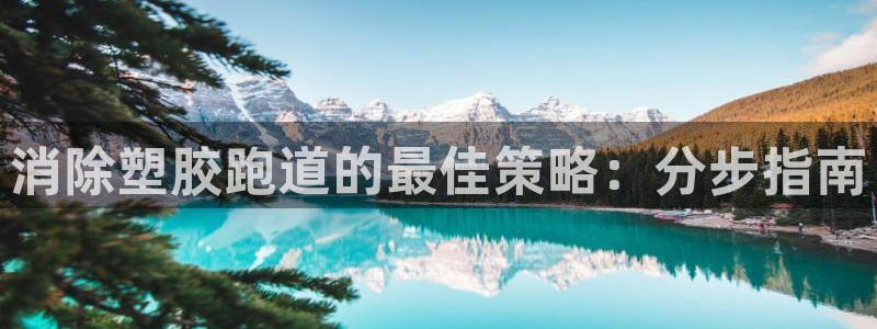 谈球吧官网入口：消除塑胶跑道的最佳策略：分步指南