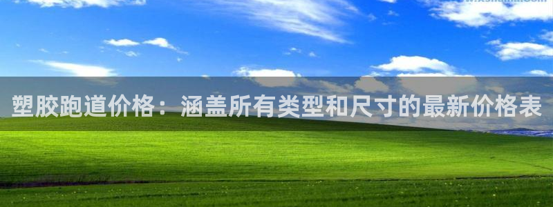 谈球吧官网入口：塑胶跑道价格：涵盖所有类型和尺寸的最
