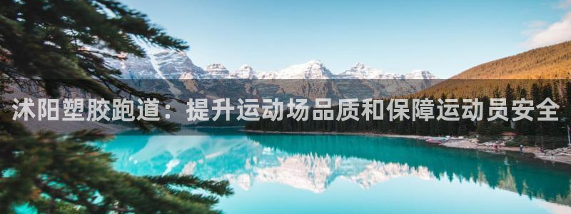 谈球吧的聊天软件叫什么来着：沭阳塑胶跑道：提升运动场品质和保障运动员安全
