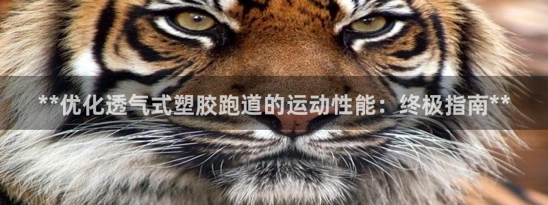谈球吧官网在线入口手机版下载苹果：**优化透气式塑胶跑道的运动性能：终极指南**