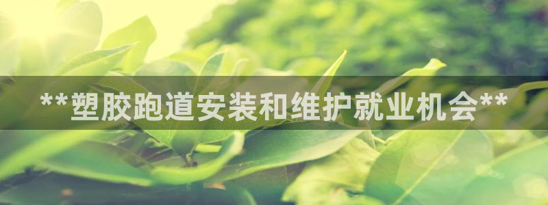 谈球吧平台app：**塑胶跑道安装和维护就业机会**