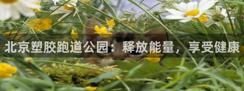 谈球吧体育app下载官网手机版苹果：北京塑胶跑道公园：释放能量，享受健康