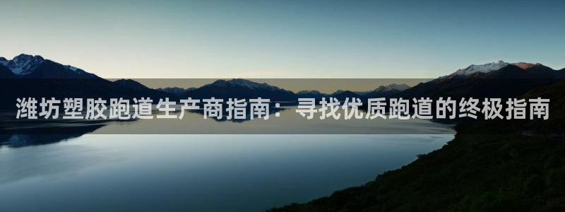 谈球吧咋样：潍坊塑胶跑道生产商指南：寻找优质跑道的终极指南