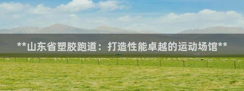 谈球吧怎么样：**山东省塑胶跑道：打造性能卓越的运动场馆**