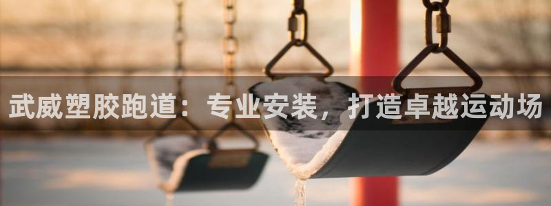谈球吧官网app下载：武威塑胶跑道：专业安装，打造卓