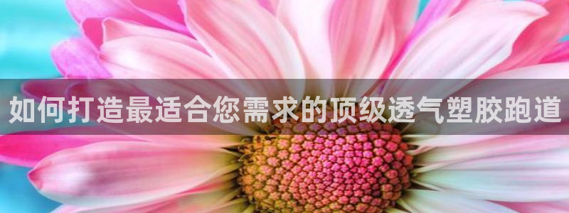 谈球吧体育app下载官网苹果版：如何打造最适合您需求