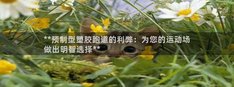 谈球吧靠谱吗：**预制型塑胶跑道的利弊：为您的运动场
做出明智选择**