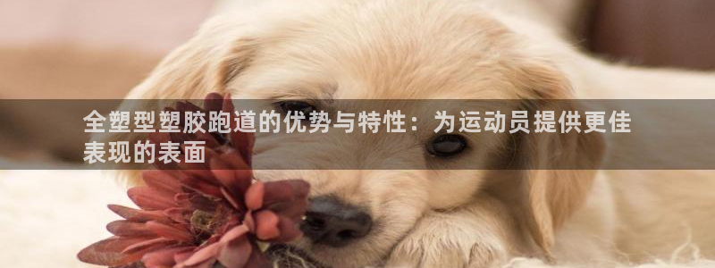 谈球吧app赛事分析：全塑型塑胶跑道的优势与特性：为运动员提供更佳
表现的表面
