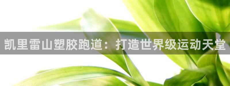谈球吧买球靠谱吗：凯里雷山塑胶跑道：打造世界级运动天堂