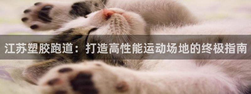 谈球吧体育官方入口：江苏塑胶跑道：打造高性能运动场地的终极指南