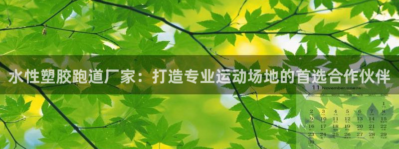 谈球吧电子app：水性塑胶跑道厂家：打造专业运动场地