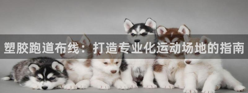 谈球吧app官网：塑胶跑道布线：打造专业化运动场地的