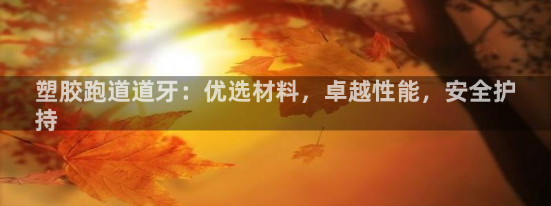 谈球吧体育赛事入口：塑胶跑道道牙：优选材料，卓越性能，安全护
持