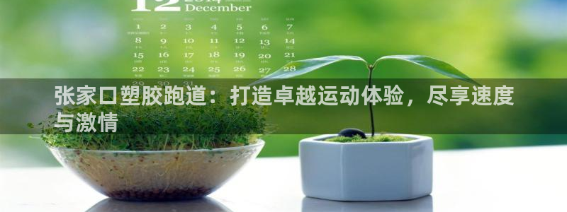 谈球吧(中国)官方网站：张家口塑胶跑道：打造卓越运动