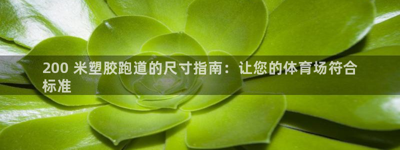 谈球吧电子：200 米塑胶跑道的尺寸指南：让您的体育