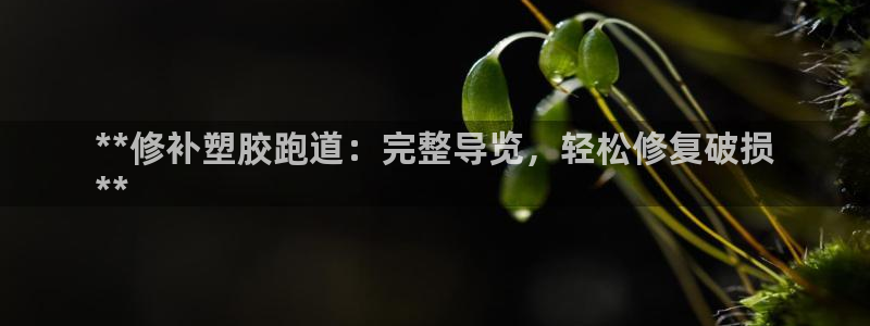 谈球吧的聊天软件叫什么来着：**修补塑胶跑道：完整导览，轻松修复破损
**