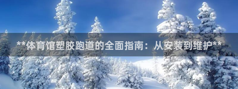 谈球吧官网在线入口网址：**体育馆塑胶跑道的全面指南
