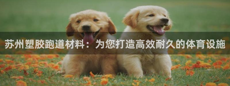 谈球吧体育官网在线入口免费观看：苏州塑胶跑道材料：为