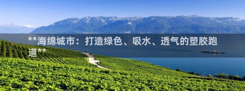 谈球吧体育综合：**海绵城市：打造绿色、吸水、透气的塑胶跑
道**