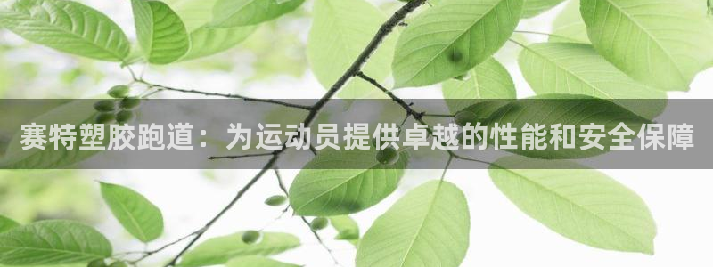 谈球吧是黑台子吗还是白台子好：赛特塑胶跑道：为运动员