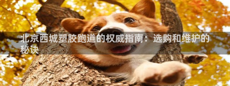谈球吧的聊天软件叫什么：北京西城塑胶跑道的权威指南：选购和维护的
秘诀