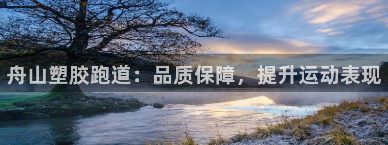 谈球吧是黑台子吗还是白台：舟山塑胶跑道：品质保障，提升运动表现
