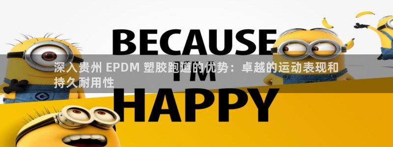 谈球吧电子：深入贵州 EPDM 塑胶跑道的优势：卓越