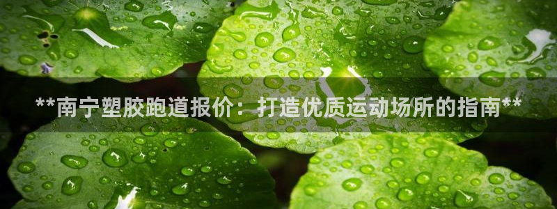 谈球吧与普通平台对比：**南宁塑胶跑道报价：打造优质运动场所的指南**