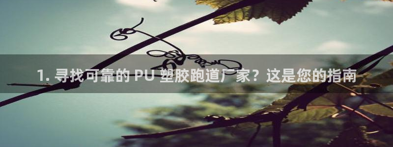 谈球吧app下载安装：1. 寻找可靠的 PU 塑胶跑道厂家？这是您的指南