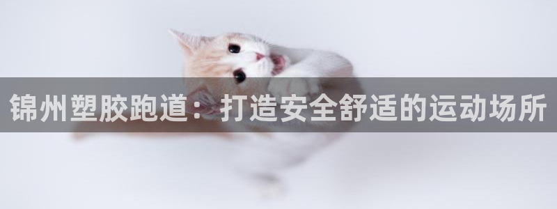 谈球吧电子：锦州塑胶跑道：打造安全舒适的运动场所