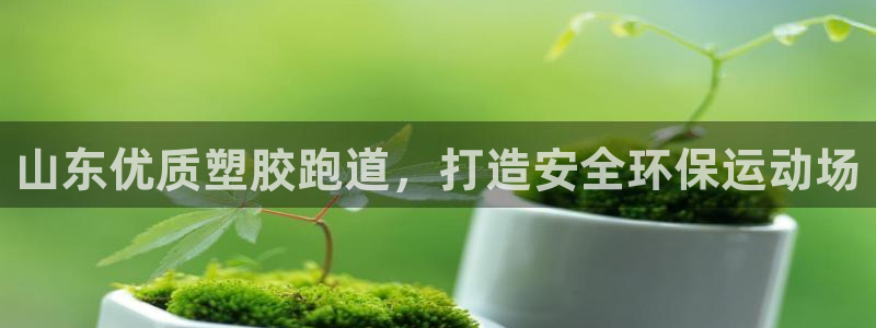 谈球吧app在哪里下载：山东优质塑胶跑道，打造安全环保运动场