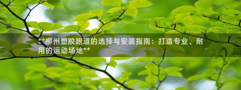 谈球吧怎么样：**柳州塑胶跑道的选择与安装指南：打造专业、耐
用的运动场地**
