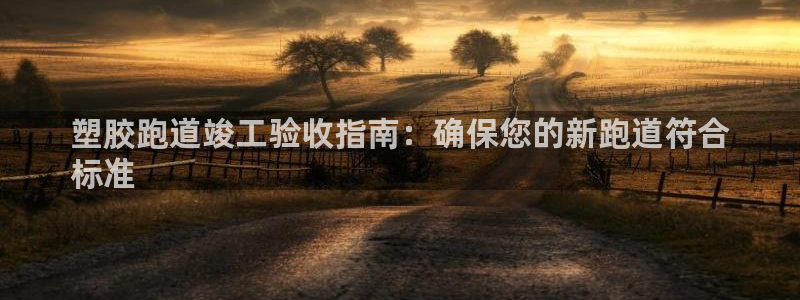 谈球吧是黑台子吗还是白台子：塑胶跑道竣工验收指南：确