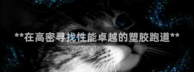 谈球吧app体育：**在高密寻找性能卓越的塑胶跑道**