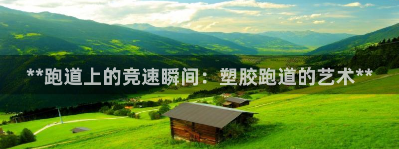 谈球吧怎么样：**跑道上的竞速瞬间：塑胶跑道的艺术**