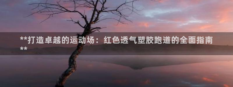 谈球吧综合官网app：**打造卓越的运动场：红色透气塑胶跑道的全面指南
**
