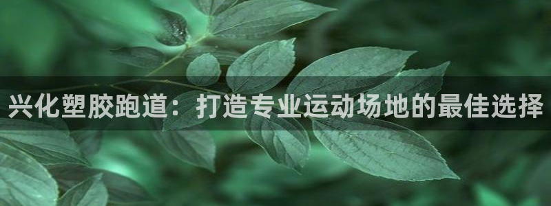 谈球吧最新APP下载：兴化塑胶跑道：打造专业运动场地的最佳选择