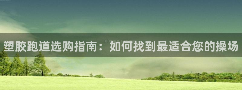 谈球吧平台正规吗可信吗安全吗：塑胶跑道选购指南：如何找到最适合您的操场