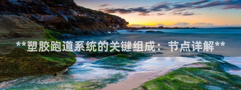 谈球吧app官网：**塑胶跑道系统的关键组成：节点详解**