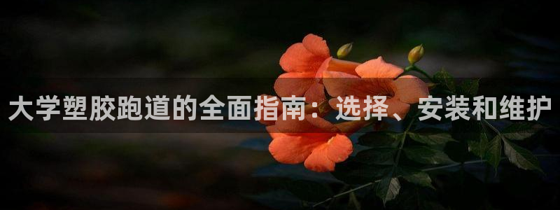 谈球吧(中国)官方网站：大学塑胶跑道的全面指南：选择、安装和维护