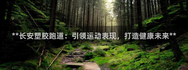 谈球吧出款：**长安塑胶跑道：引领运动表现，打造健康