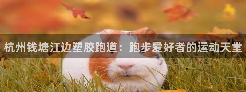 谈球吧是黑台子吗还是白台子：杭州钱塘江边塑胶跑道：跑步爱好者的运动天堂
