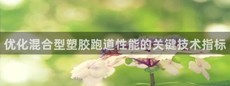 谈球吧的聊天软件叫什么：优化混合型塑胶跑道性能的关键技术指标