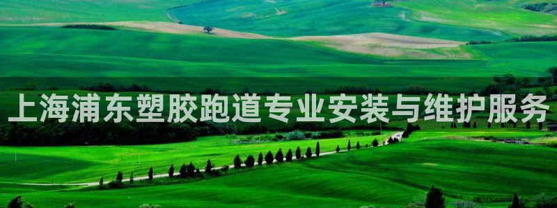 谈球吧app赛事分析报告：上海浦东塑胶跑道专业安装与维护服务