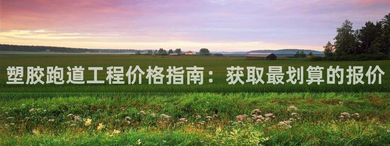 谈球吧与普通平台对比：塑胶跑道工程价格指南：获取最划算的报价